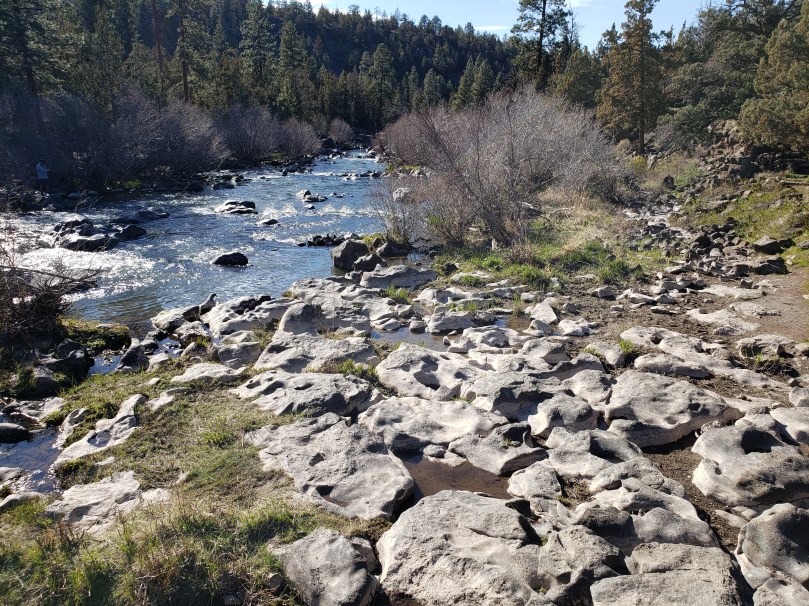 74 CFS at Sawyer Park