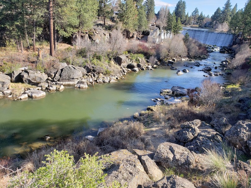 74 CFS Below the Dam